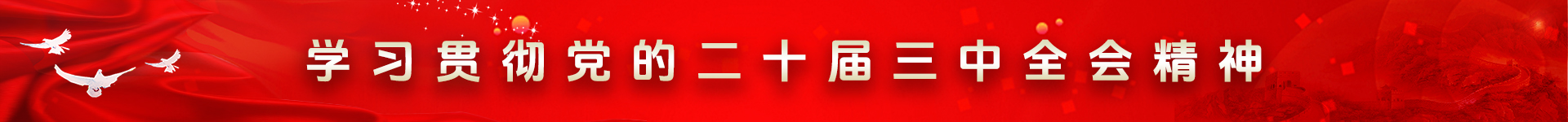 學習貫徹黨的二十屆三中全會精神